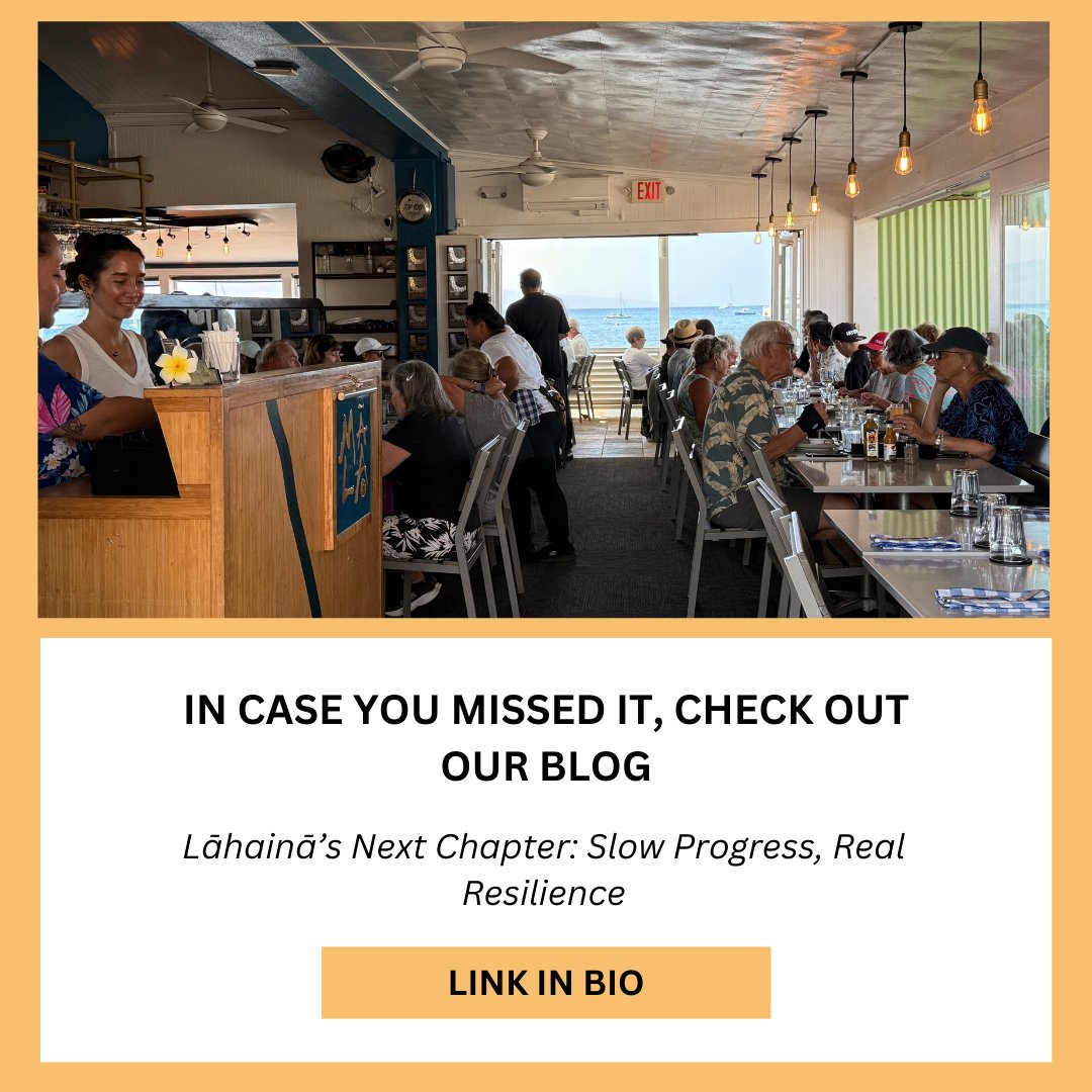 Lāhainā is healing 🌺

Some restaurants, harbor tours, and cultural experiences are open and every visit made with respect makes a difference.💙

Read our blog to see what’s open and how to support Maui with intention.💙