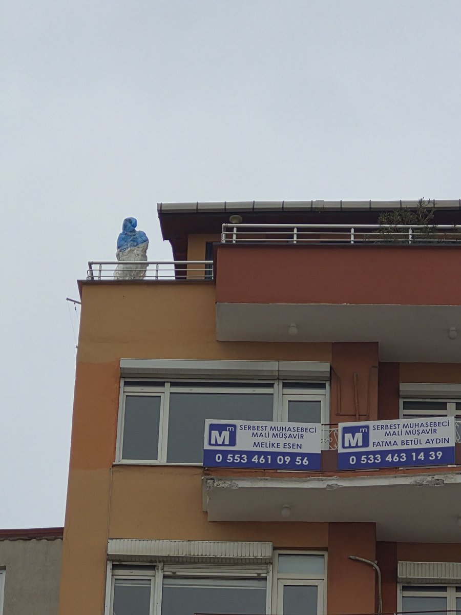 İzlediğim gerilim filmleri beni tatmin etmeyince evren;