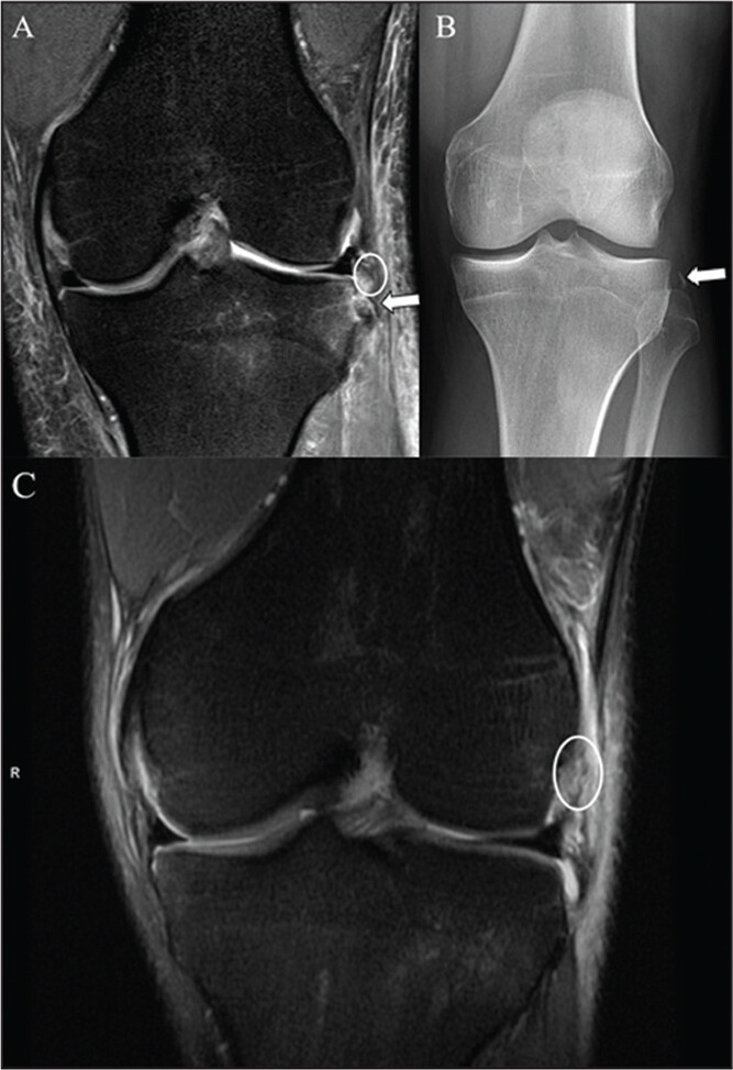 ORTHO Journal tweet media