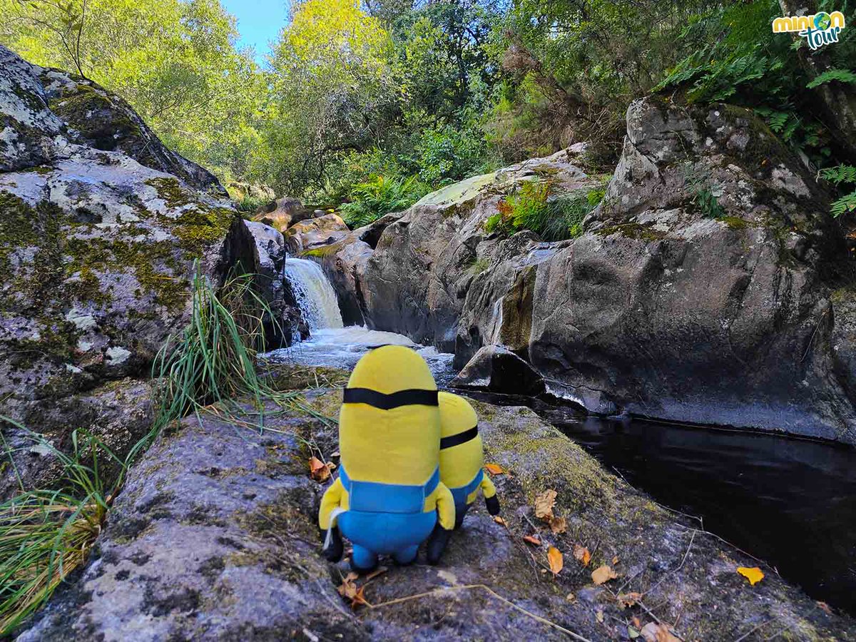 MiniOnTourES's tweet photo. ¿Sabes cuál es una de las 10 maravillas naturales de #Galicia? 🙄 ¡Los #TorrentesdoMácara! 💦 Muy cerca de #PalasdeRei te esperan rápidos, cascadas y pozas en el río #Ulla 🏞️.
👉 https://t.co/uUAjqYhCbi
@Turgalicia @GNaturaleUnica @MadridTB @GaliciaTB https://t.co/fcBYICAqXG