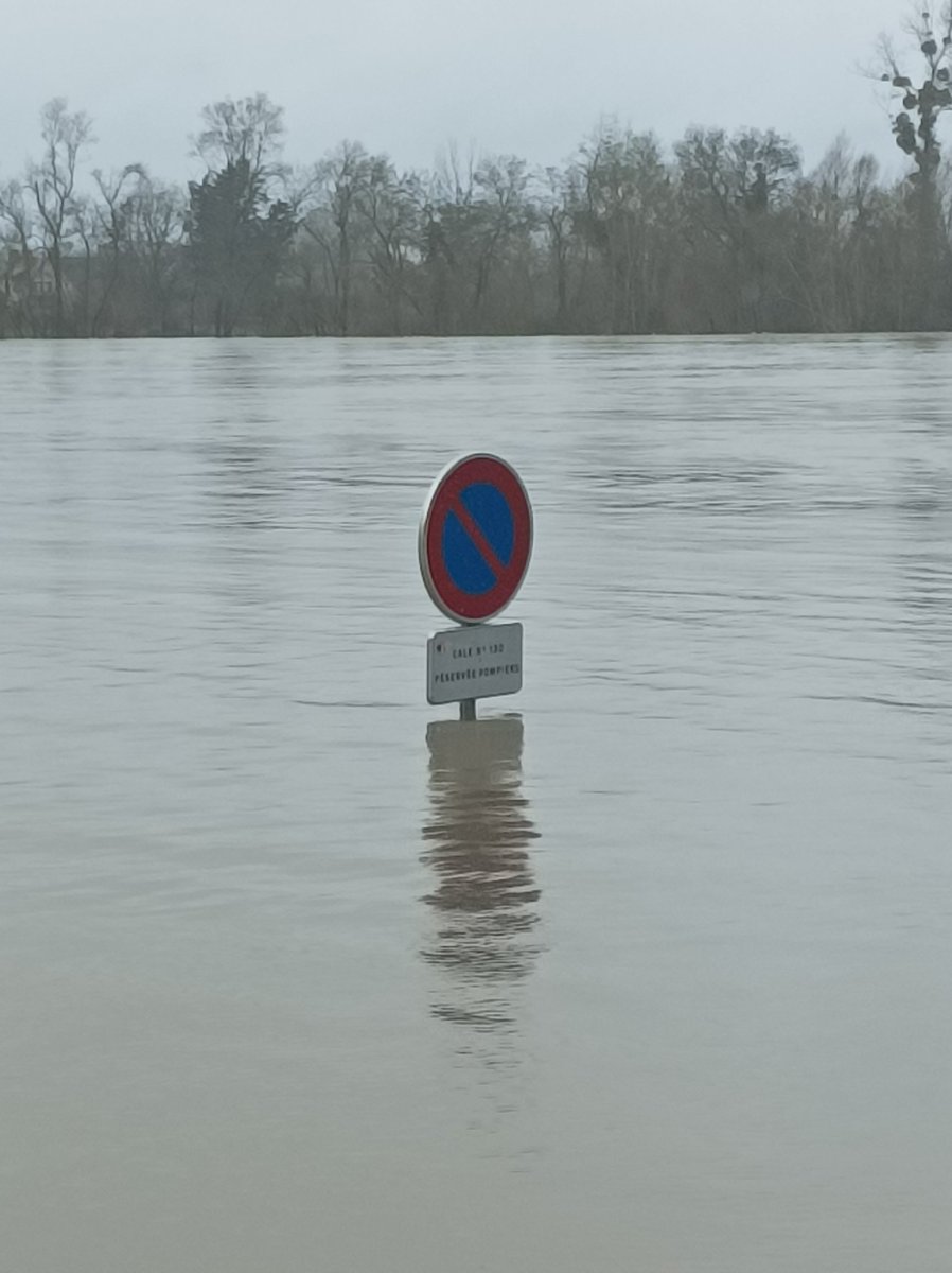 Guill500's tweet image. Sa majesté la Loire est en colère et le fait savoir !
Impressionnant ! 
J'ai la chance d'être encore au sec mais les accès sont de plus en plus compliqués
#crues
#loire @villepontsdece #maineetLoire