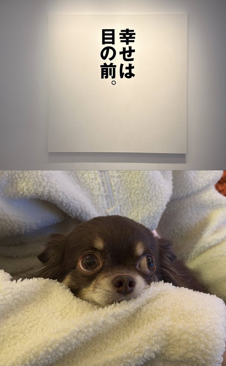 แงงง เตนได้เที่ยวกับครอบครัวจริงด้วย เจ๊ฟอยลงเหมือนกัน เตนได้เติมน้องหมาด้วยป่าว