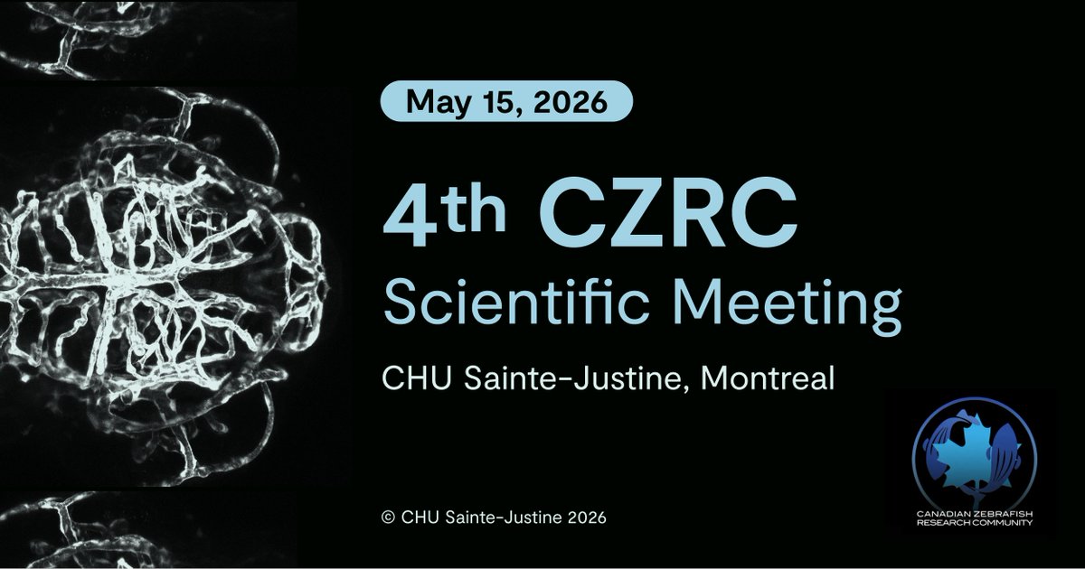 Joey Ghersi tweet media