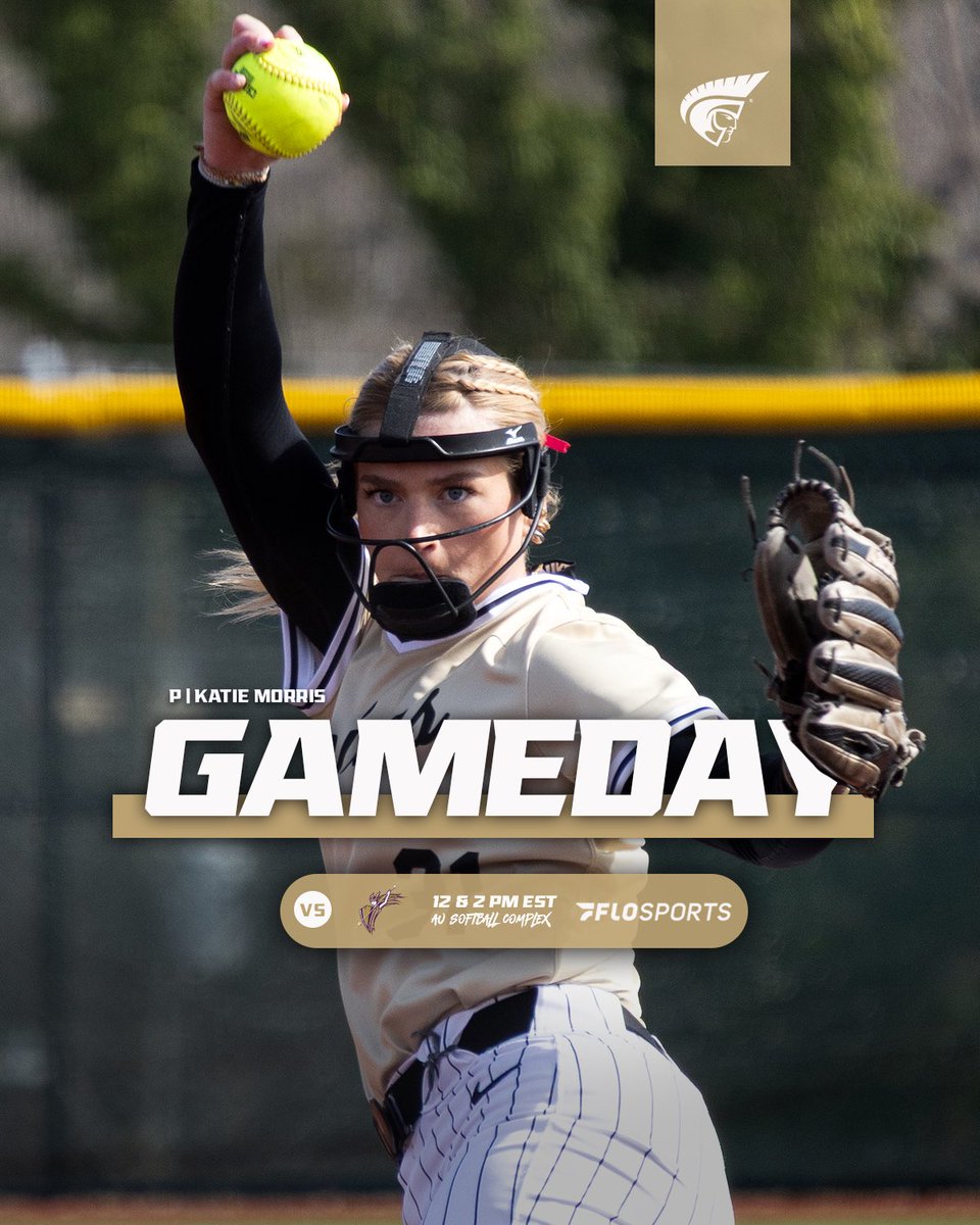 Anderson Softball tweet media