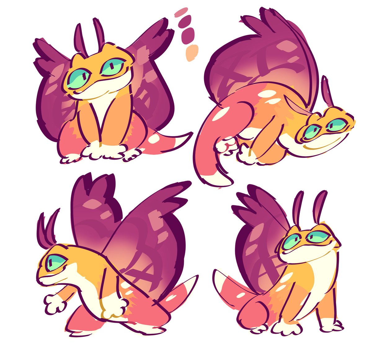 Caldinho 🦎 tweet media