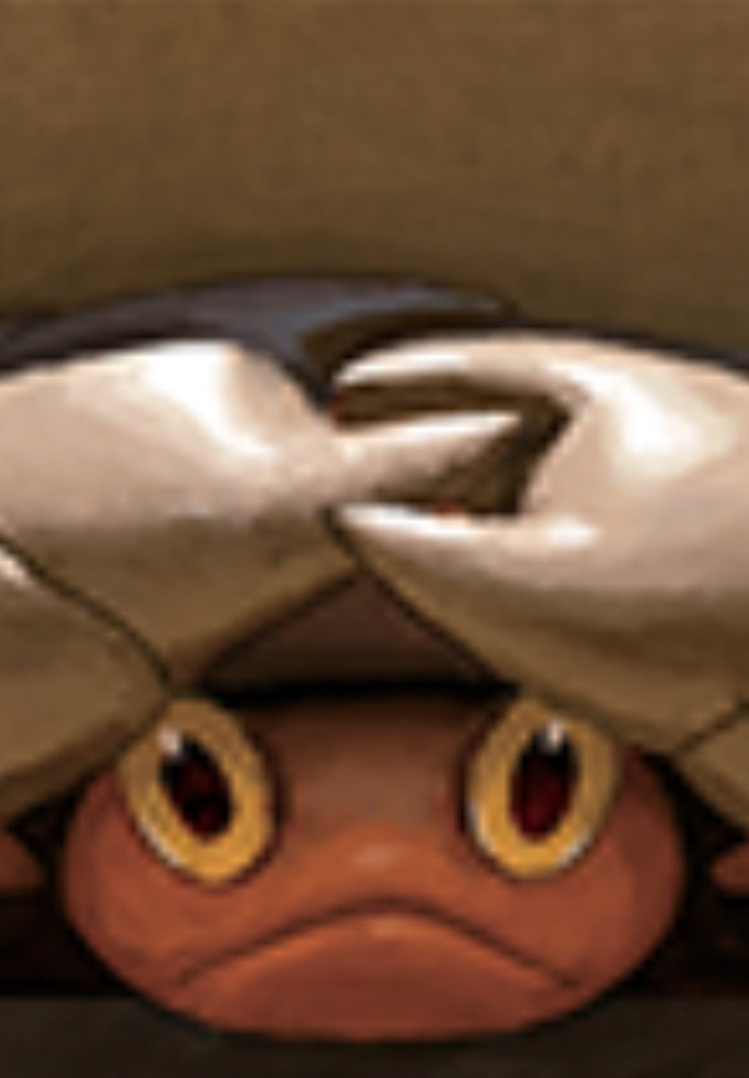 Manuel Zanardi tweet media