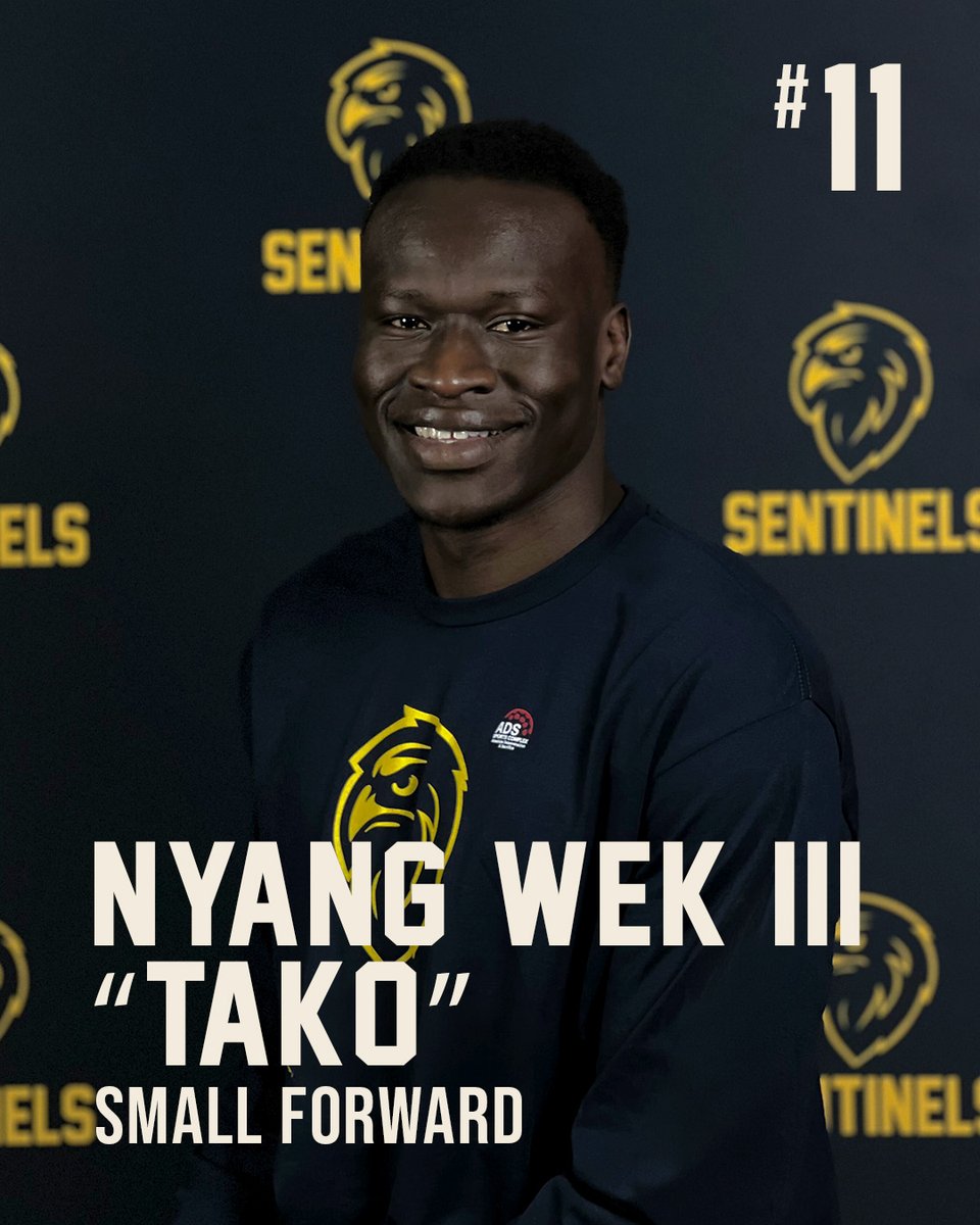 ADS Sentinels tweet media