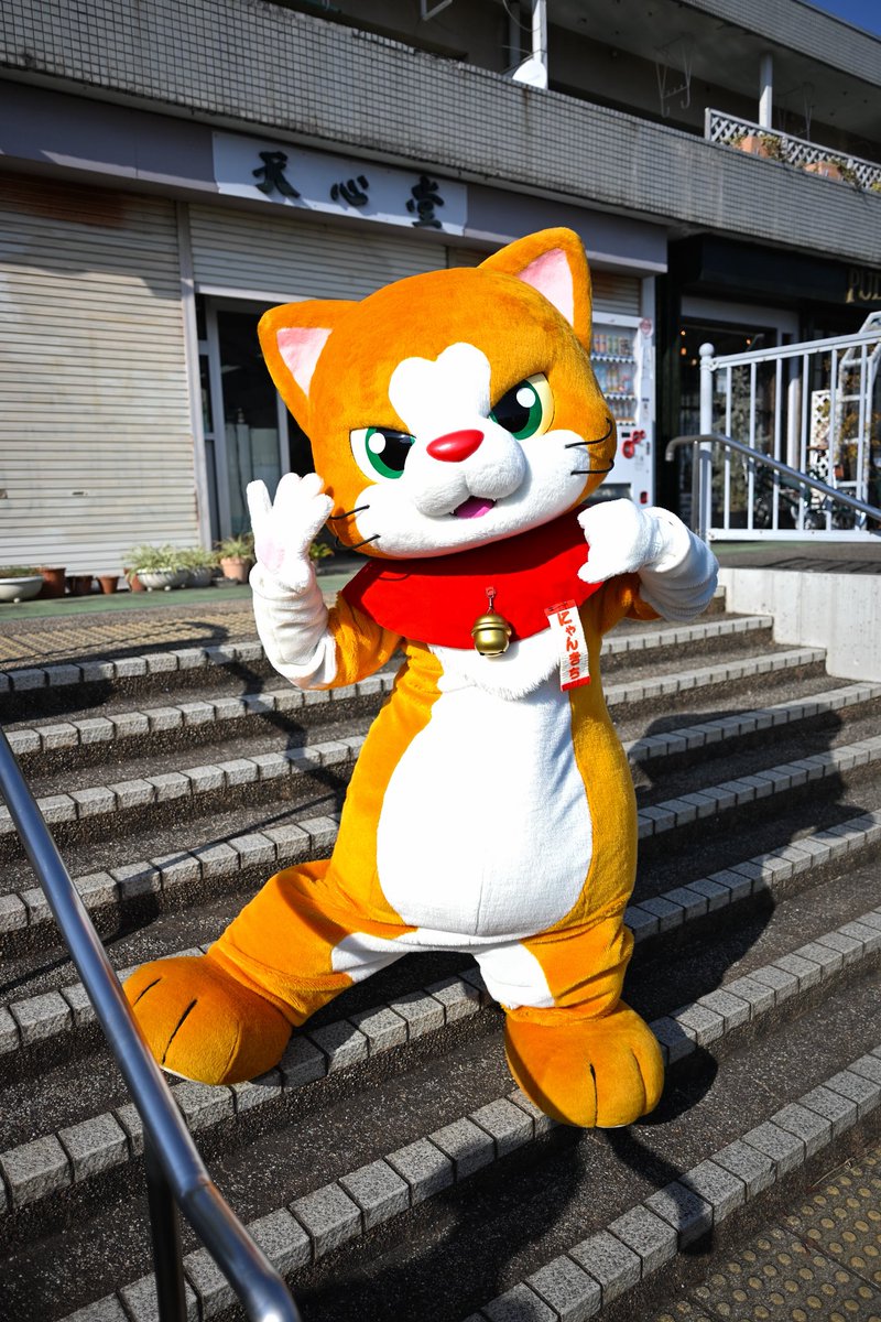 にゃん吉【公式】Nyankichi (@cat_nyankichi) / Posts / X