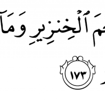 Divulcat tweet media