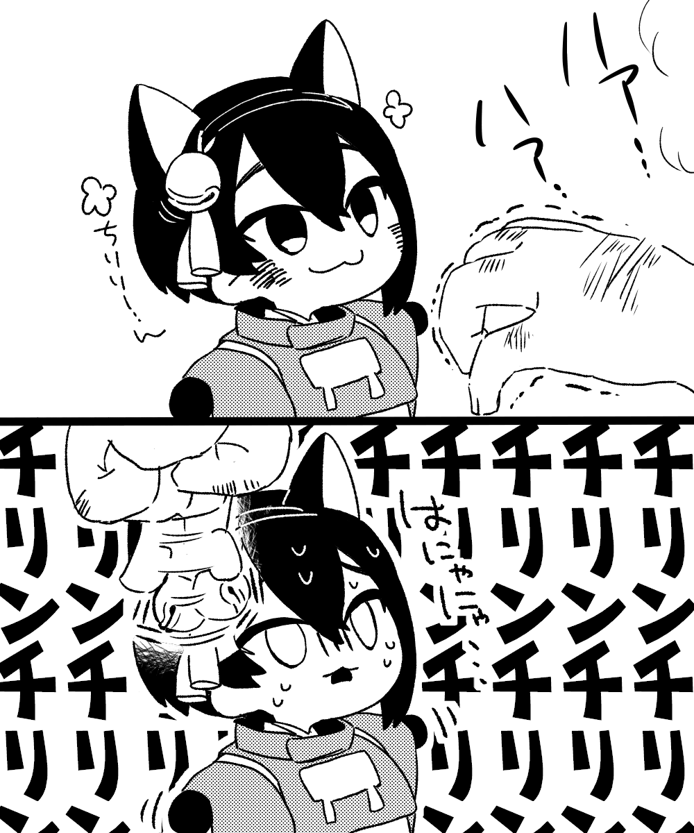 極速たこ🐙🇯🇵 (@SpeedTako88) / Posts / X