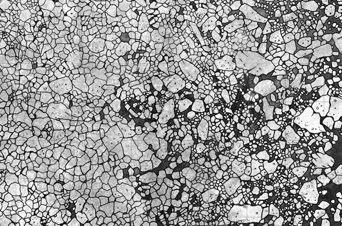 Memes Cosmere Español tweet media