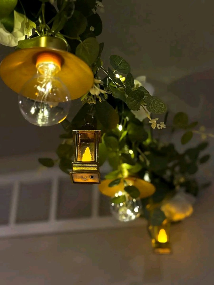 Bithi🎗️| Builder tweet media