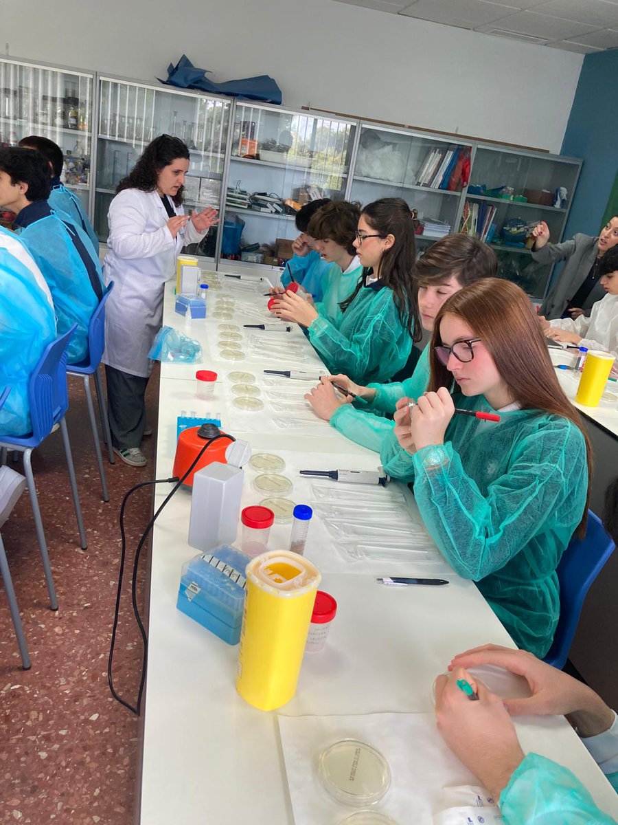 SWICEU/MicroMundoCEU tweet media