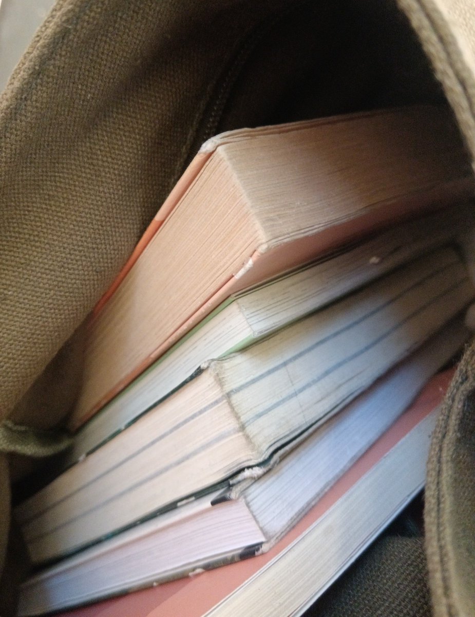 ¡Saludos desde el infierno, mis almitas! Hoy fui a la biblioteca y pedí unos cuantos libros. ¡Estoy muy emocionada de hablarles al respecto!