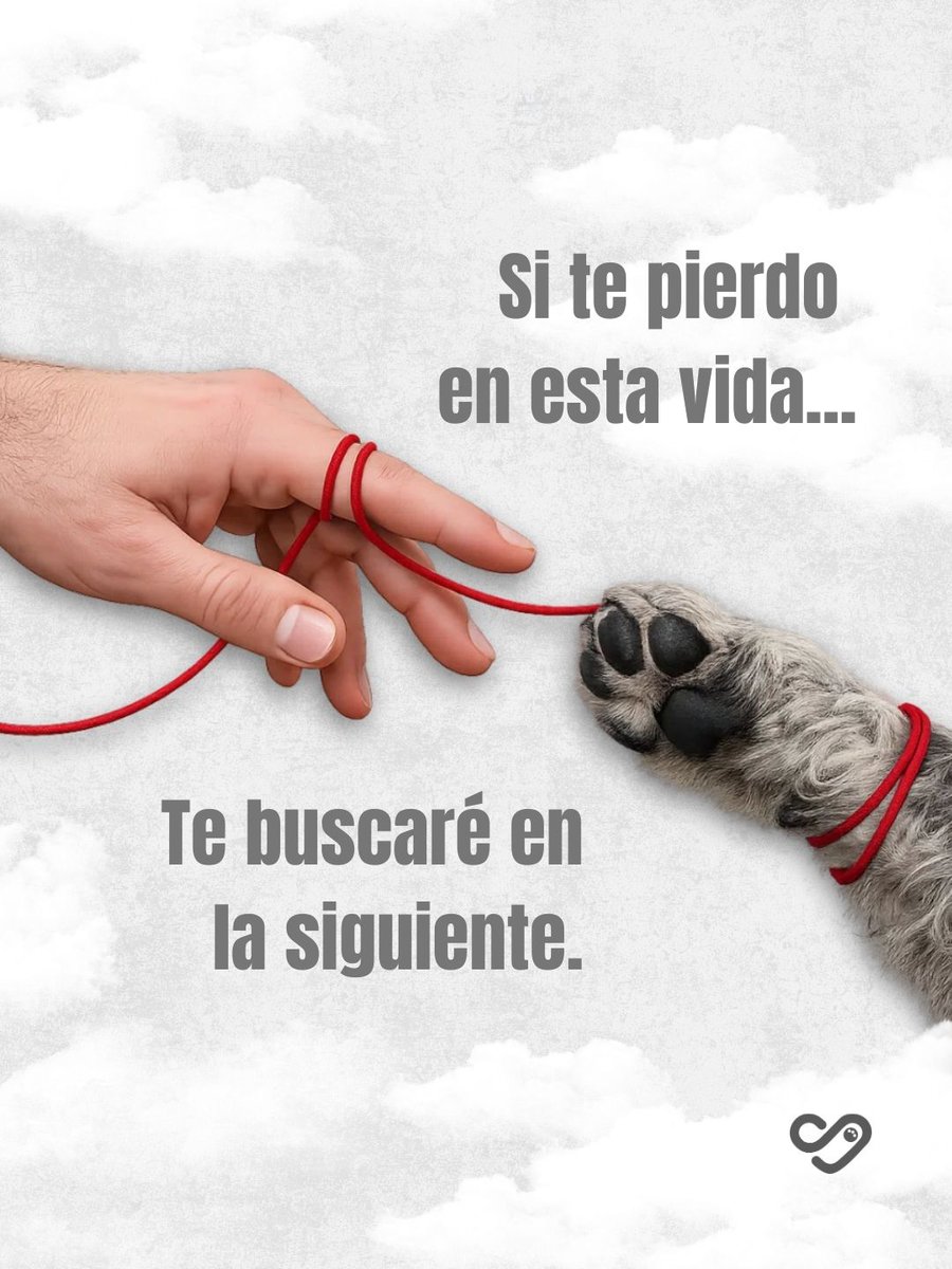 Te buscaría en una y mil vidas más. 
¿Quién está cortando cebolla? 😭