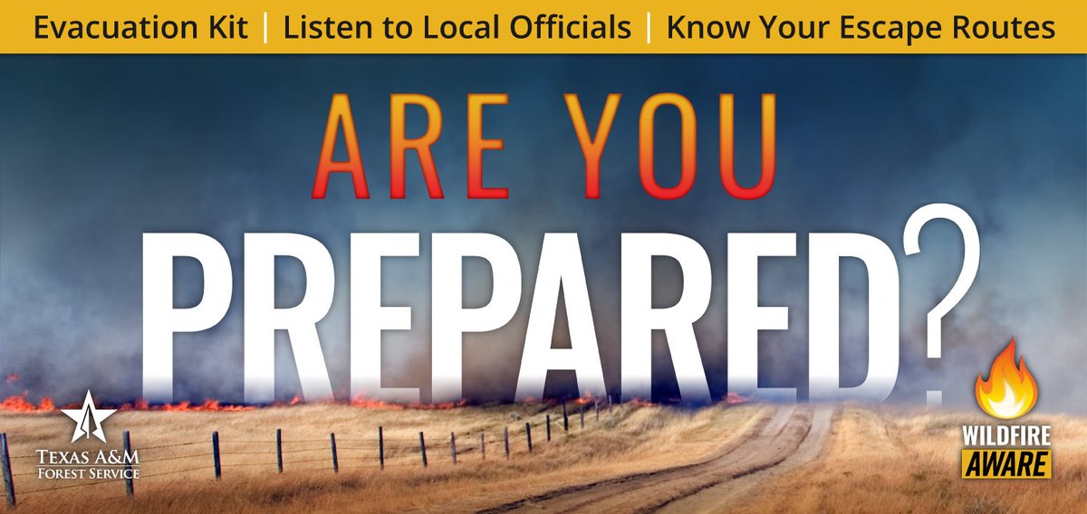 Incident Information - Texas A&M Forest Service tweet media