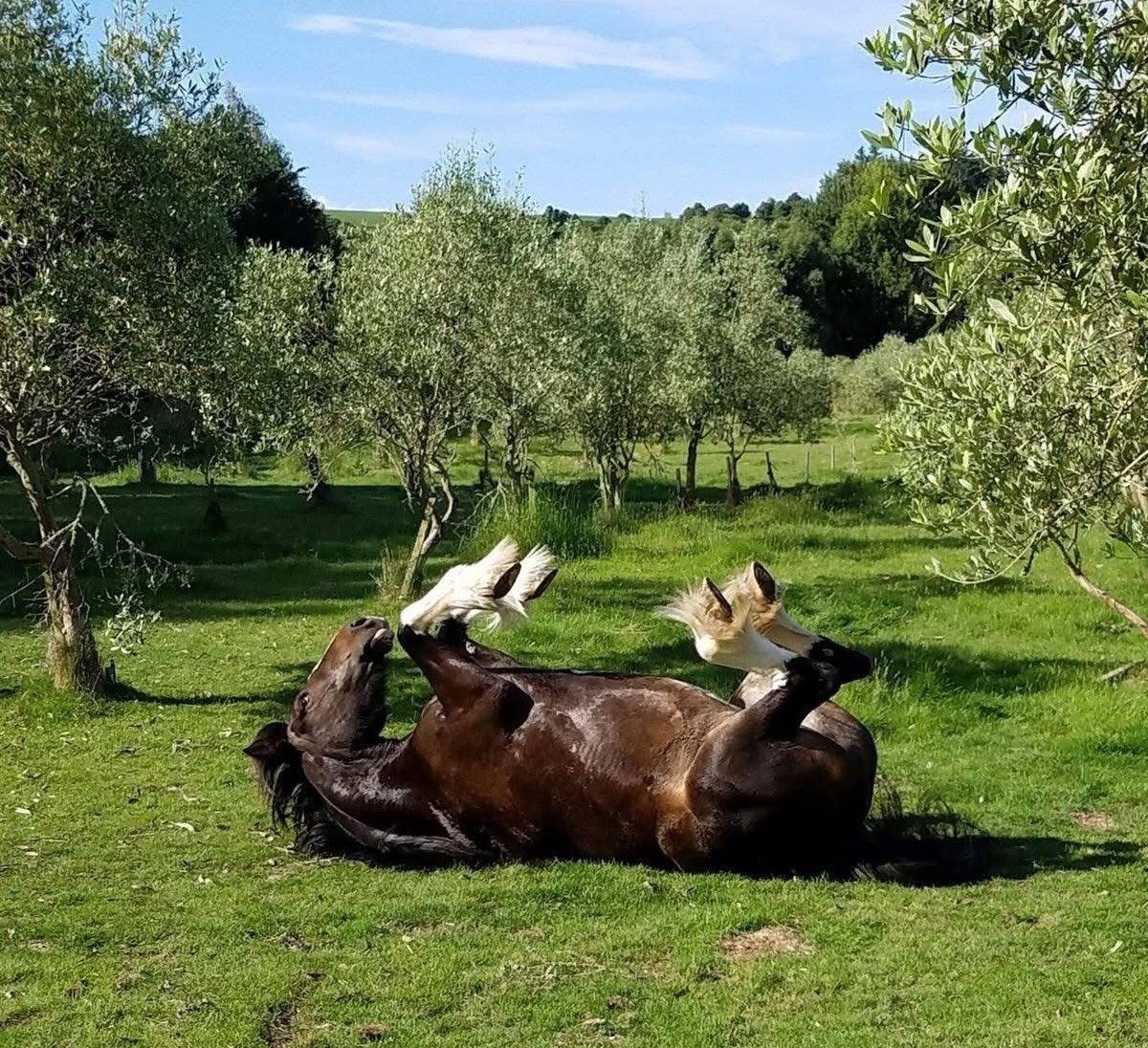 de hecho, prefiero no saber