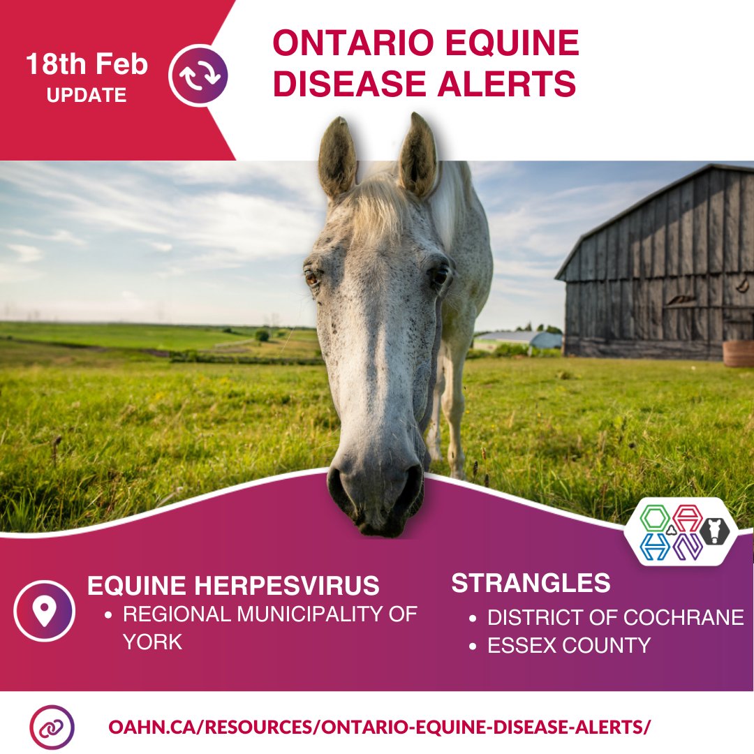 Ontario Animal Health Network tweet media