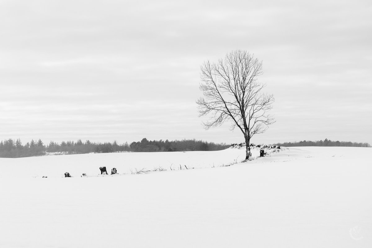 𝔘𝔭 𝔢𝔴𝔦𝔤 𝔲𝔫𝔤𝔢𝔡𝔢𝔢𝔩𝔱! tweet media