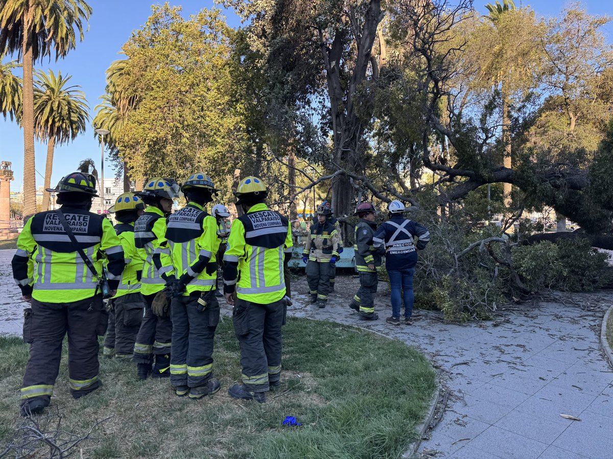 Bomberos Valparaíso tweet media