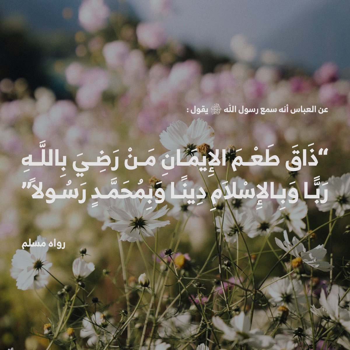 Abdullah 🍂 tweet media