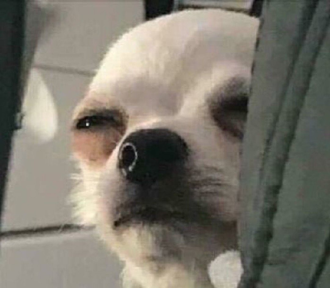 merainbow93's tweet image. โอ้ยยย ทำถึงมากขออะไรได้อย่างงั้นแฟนคลับบ่นคิดถึงมาหลายวัน ตอนบ่ายก็มาคุยเล่นเป็นยาใจ ตกดึกโยนงานมาบึ้มมมม เติมไฟในการใช้ชีวิต ติ่งเลิกบ่นมาเคาท์ดาวน์นับวันรอแทน เก่งว่ะ

#ReadyForMORE  #แบมแบม 
#BamBam #뱀뱀 @BamBam1A