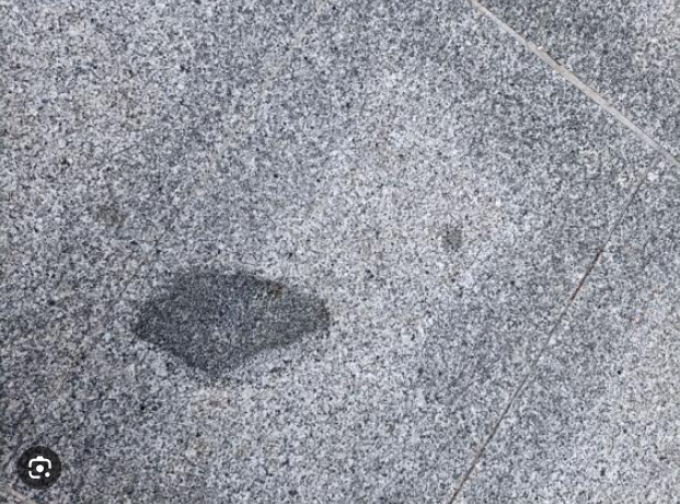 Alejandro Muñoz tweet media