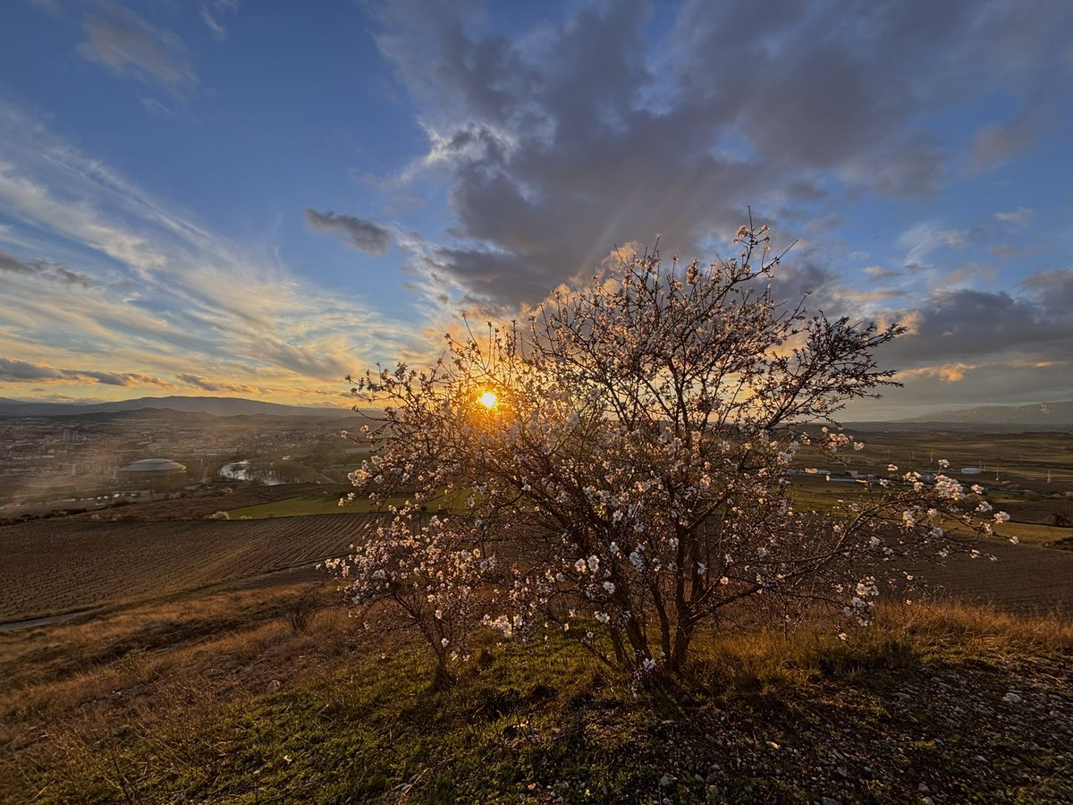 ⚡️Jaime Domenech Ceca ⚡️ tweet media