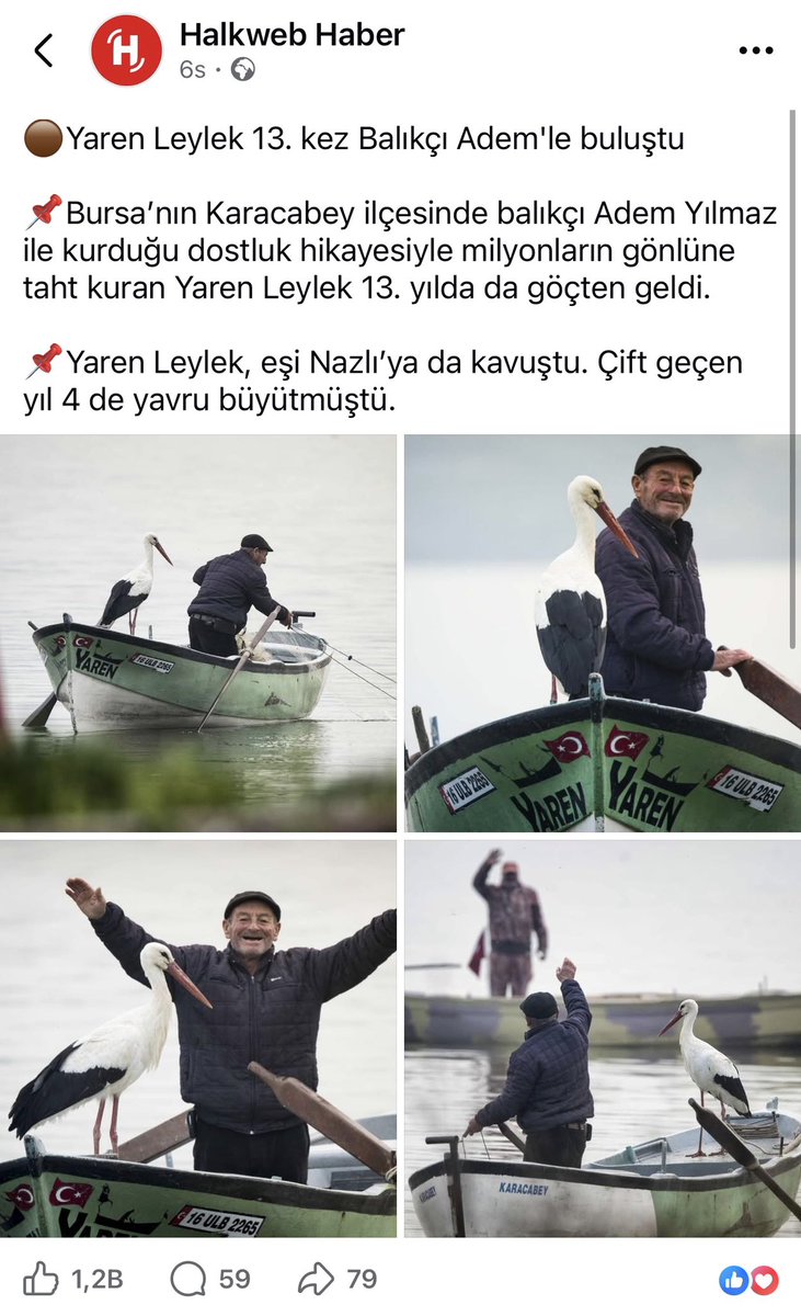 Alper Tüydeş tweet media