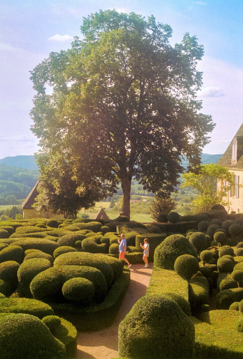 Mes photos sur film qui ressemblent à un rêve