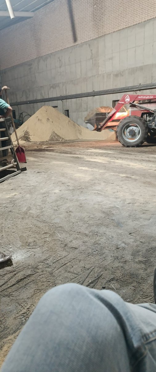 {دامپزشک دهکده} tweet media