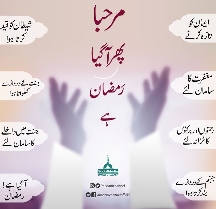 آپ سب کو ماہِ رمضان کی آمد بہت مبارک ہو ۔
اللّٰہ ہمیں اس ماہِ رحمت کی خیر و برکتیں سمیٹنے کی توفیق عطا فرمائے ۔
آمین بجاہ النبی الامین صلی اللّٰہ علیہ وآلہ وسلّم
🤲🏻📿
#رمضان_مبارك
#RamadanMubarak
#رمضان_كريم
#Ramadan2026
#dawateislami
#عطاری_پرموشن
#عطاری_قبیلہ
#عطاریہ