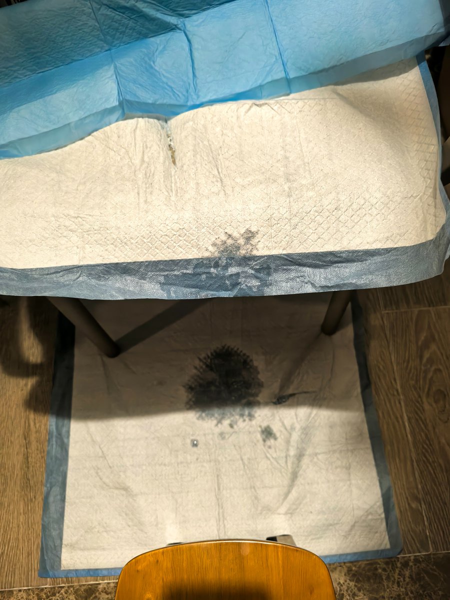 南京农（技术控射） tweet media