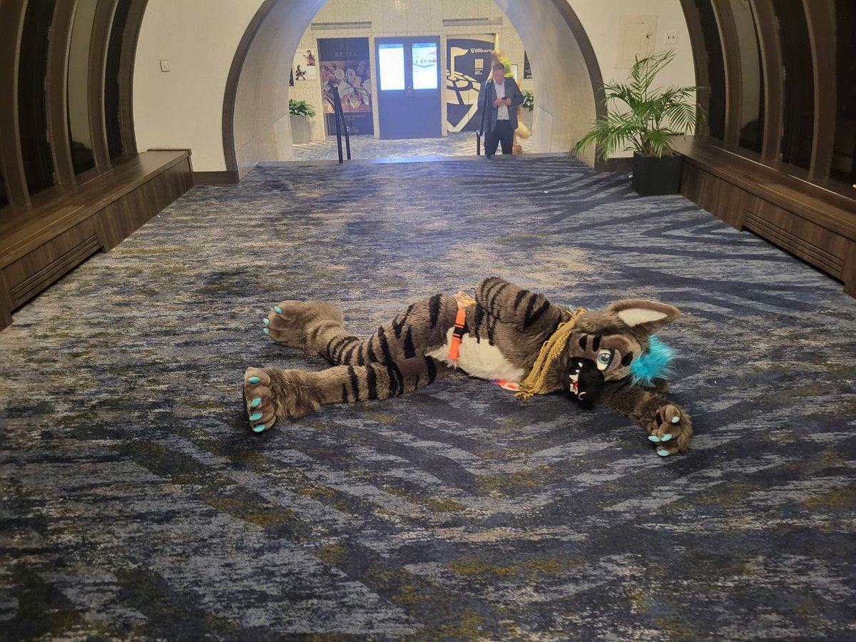 Rocky 🗿 🔜 LVFC, FWA, Denfur tweet media