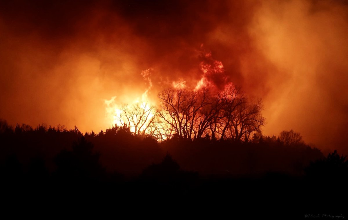 Josh Leach tweet media