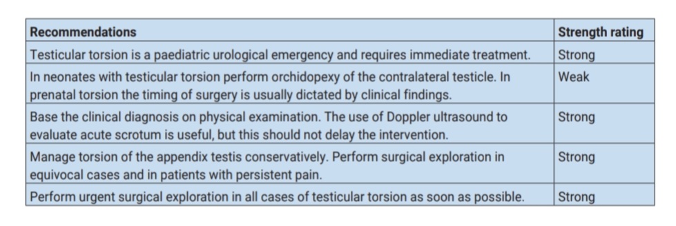ChristianRadmayr tweet media