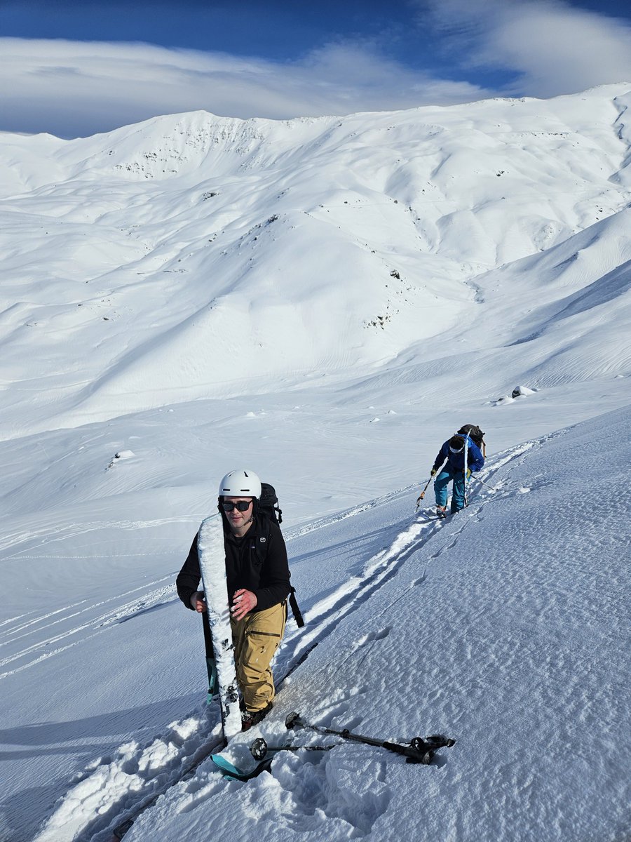 Untamed Borders tweet media