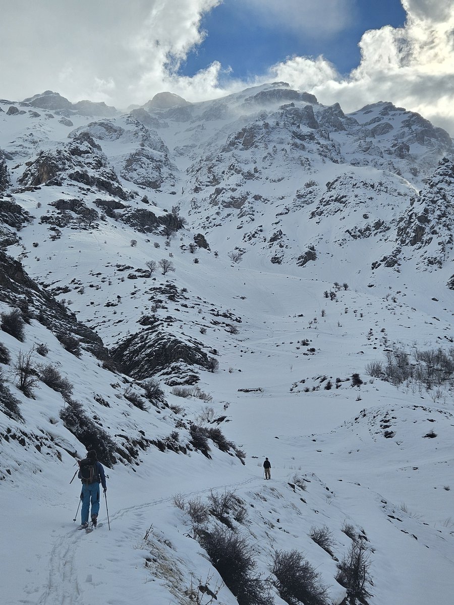 Untamed Borders tweet media