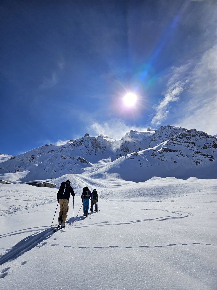 Untamed Borders tweet media