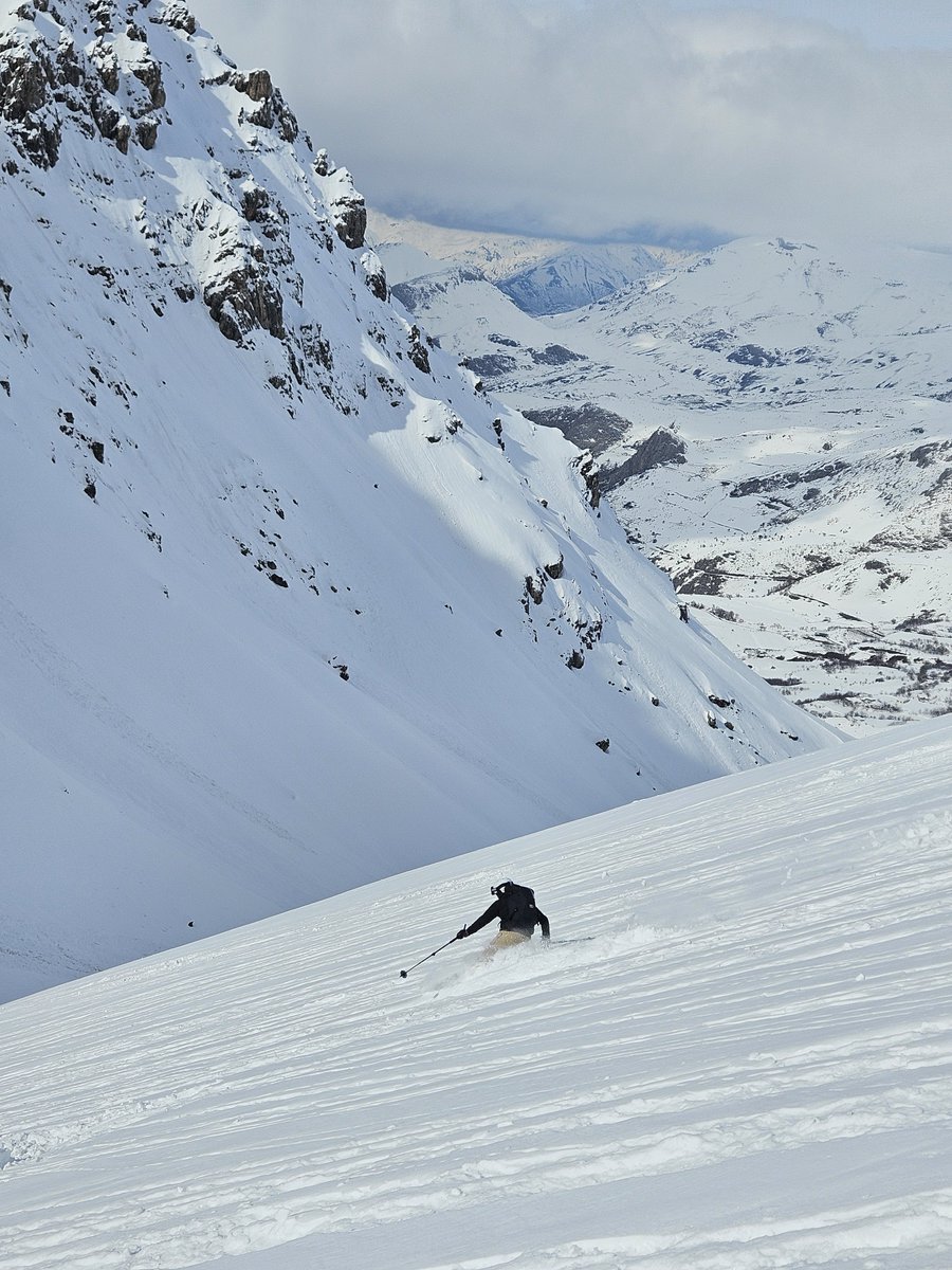 Untamed Borders tweet media