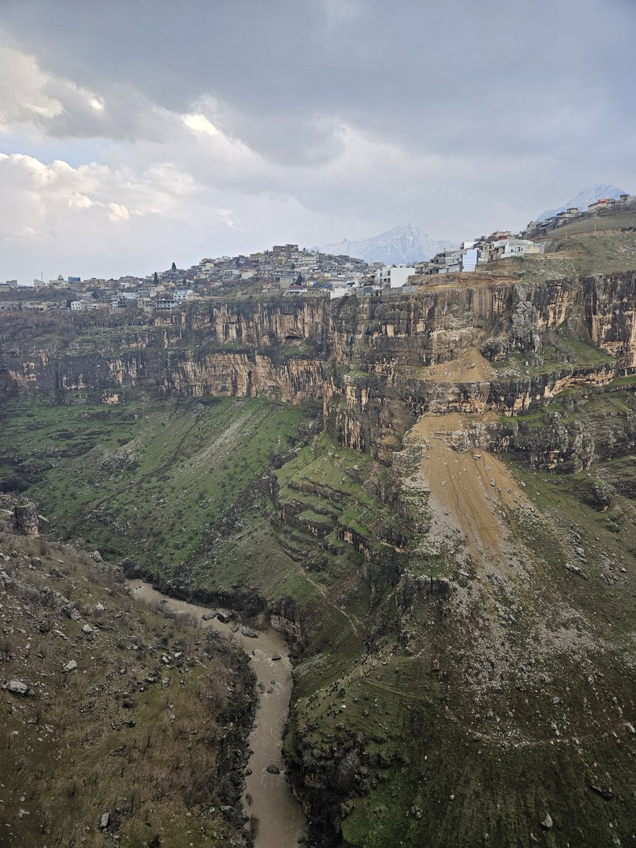 Untamed Borders tweet media