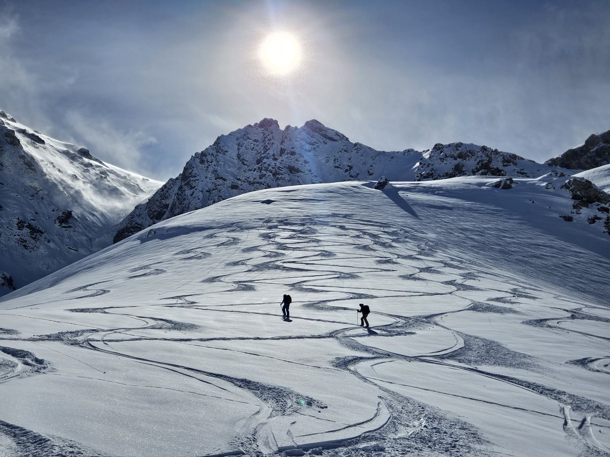 Untamed Borders tweet media