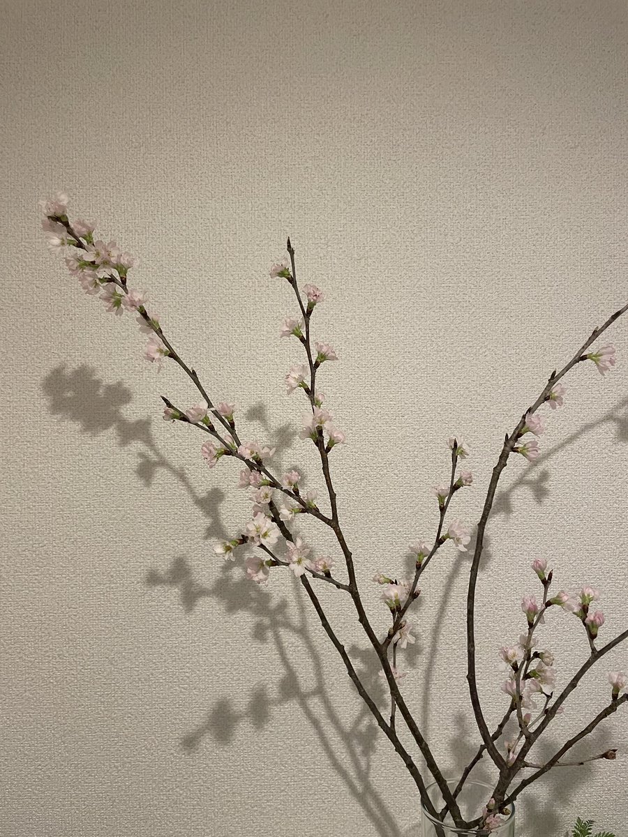 まだ寒いけど、玄関に春。