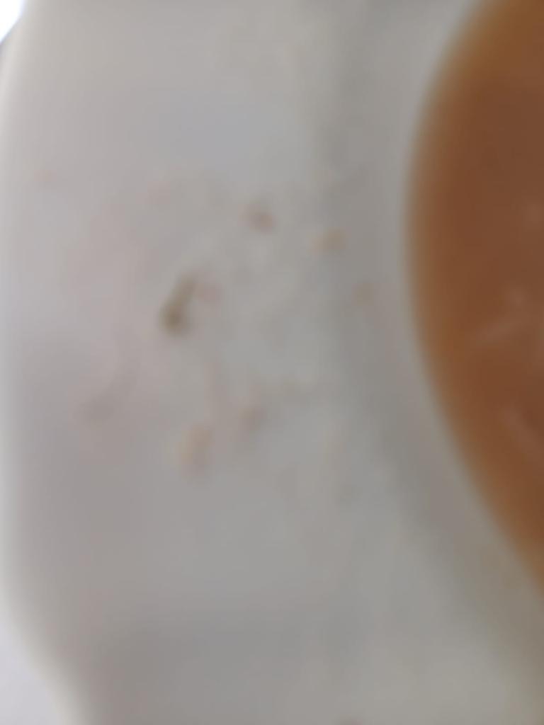 Sopa de cocido con suciedad, pelos cortos y rizados y fideos al escondite.
El resto, garbanzos y patatas sin sabor. Residencia Colmenar Viejo, hoy he mandado queja a Coordinación socio sanitaria de la Comunidad de Madrid, con fotos de las patatas con moho.