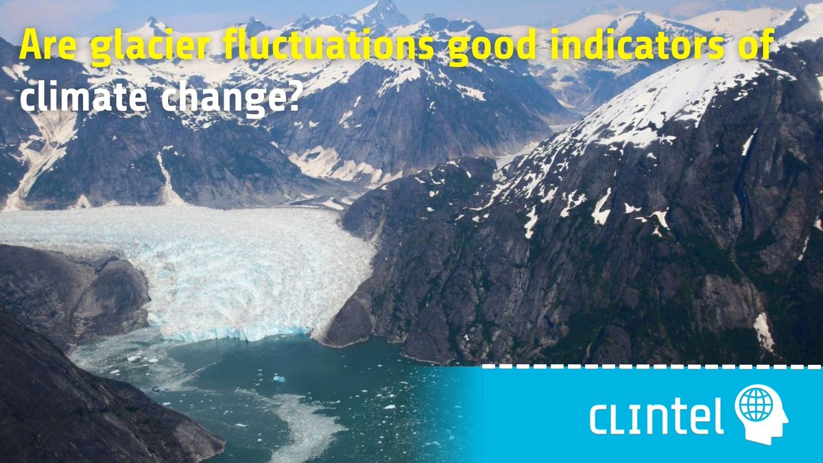 CLINTEL.ORG tweet media