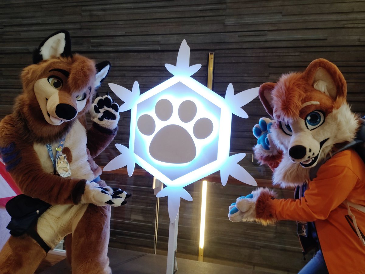 Toffee Corg tweet media