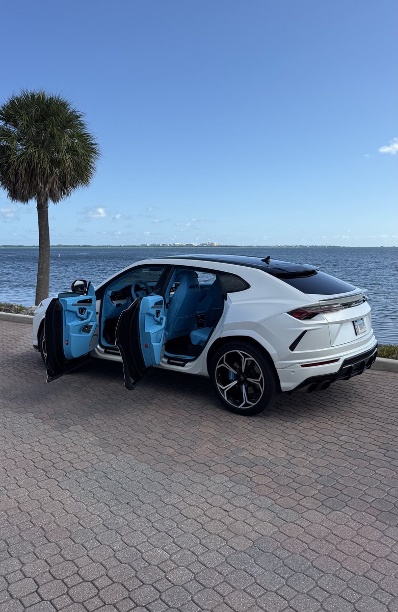 Cam Casey tweet media