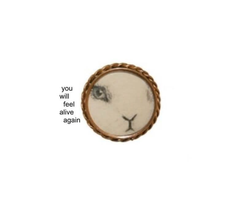 Synexdoche (@amor_fatti) on Twitter photo 