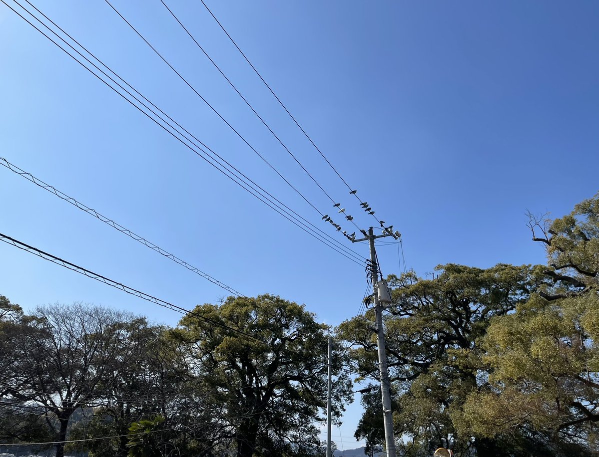 すぎもと tweet media