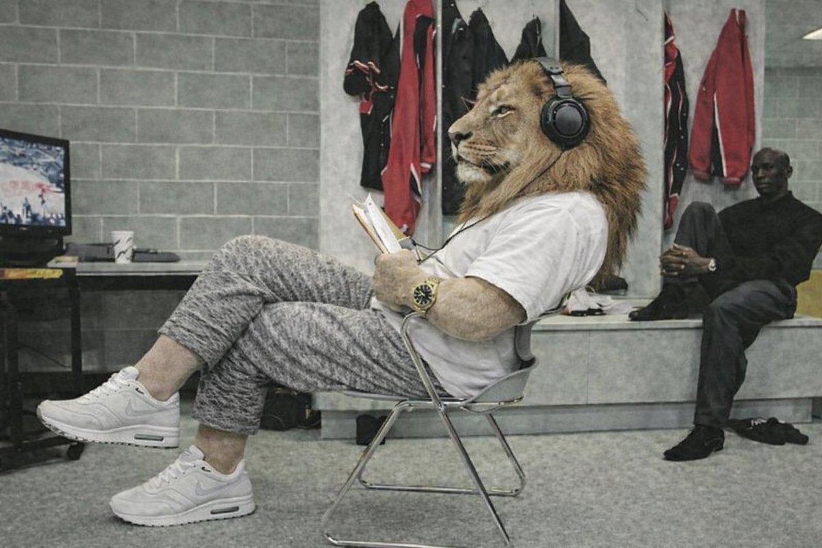 The Lion tweet media